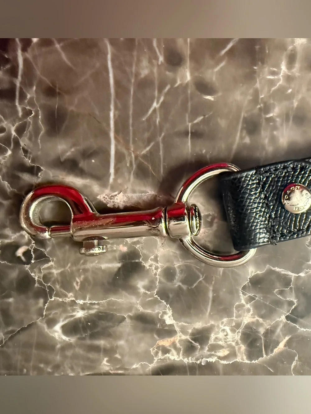 Coach Black Leather Dog Leash with Silver Hardware